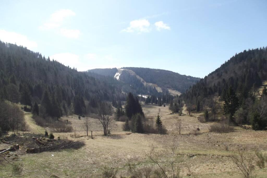Location Appartement Pied Des Pistes La Bresse Zewnętrze zdjęcie